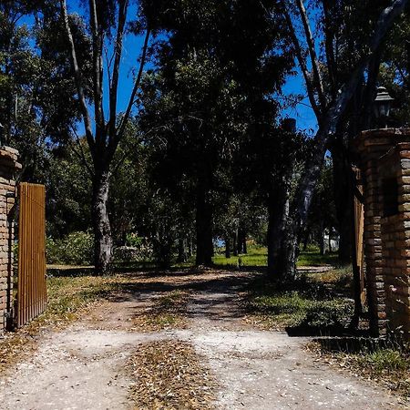 Antonia Beachfront Villa Lefkimmi (Corfu) Exterior foto